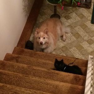 Meet your Posher, Kim